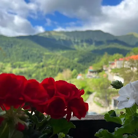 Pasithea Mountain Guest house 3*