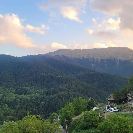 Guest house Pasithea Mountain 3*