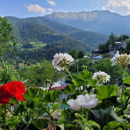Pasithea Mountain Guest house Filakti