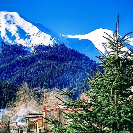 Pasithea Mountain Filakti