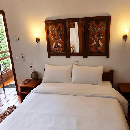 Pasithea Mountain Guest house Filakti